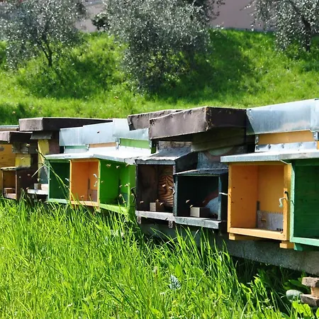 Apartament Il Medeghino Musso