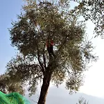 شقة Il Medeghino *