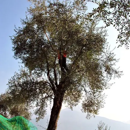 Apartamento Il Medeghino *