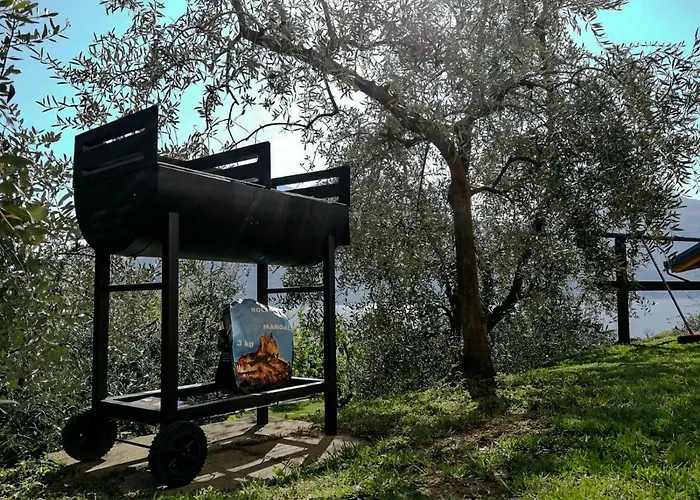 Il Medeghino